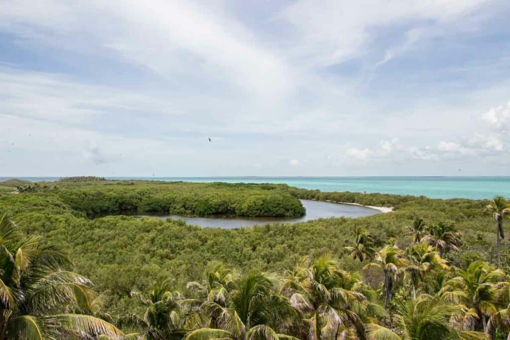 Contoy Island, one of the best attractions in Yucatán Peninsula