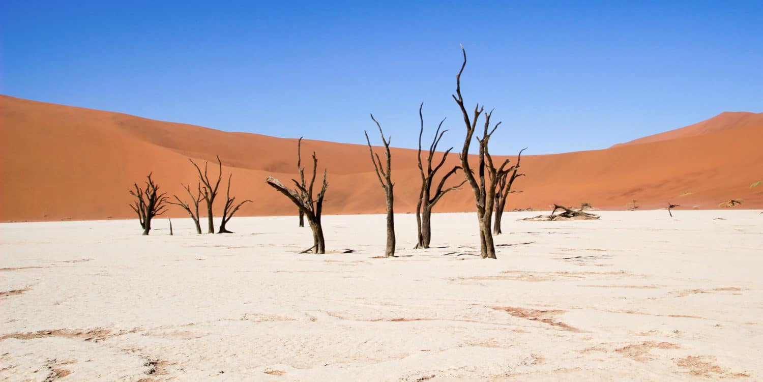 Deserto da Namíbia - Deadvlei