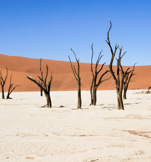 Namib Desert - Sossusvlei