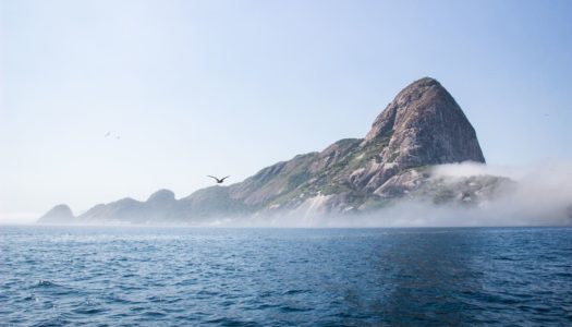 Alcatrazes Archipelago: All you need to know about the “Brazilian Galapagos”