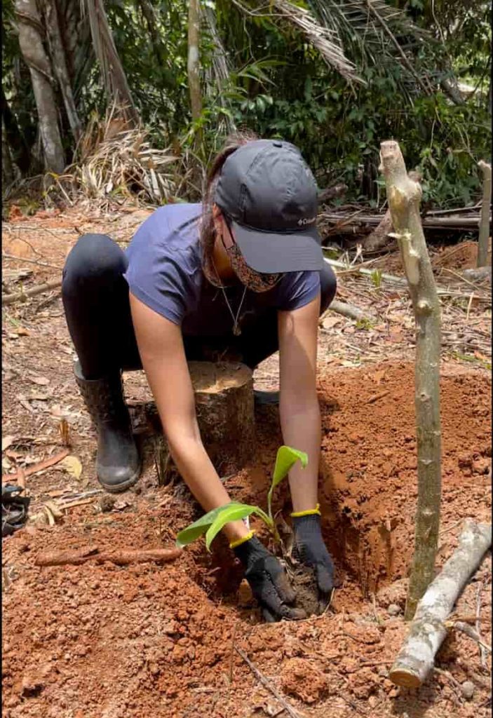 Environmental volunteer opportunity near Salvador, in Brazil