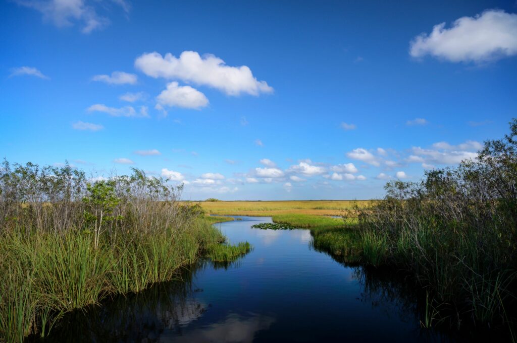 Everglades River at the National Park