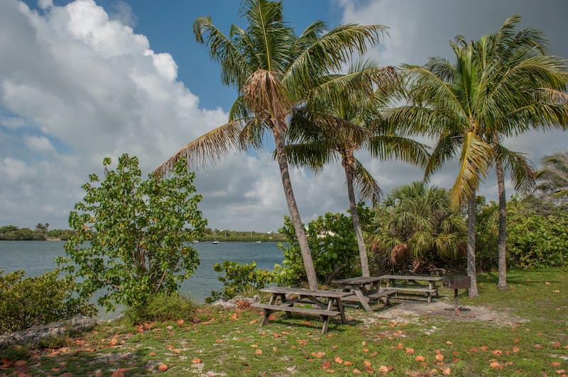 Oleta River State Park picnic area by the bay - Things to do near Miami Florida