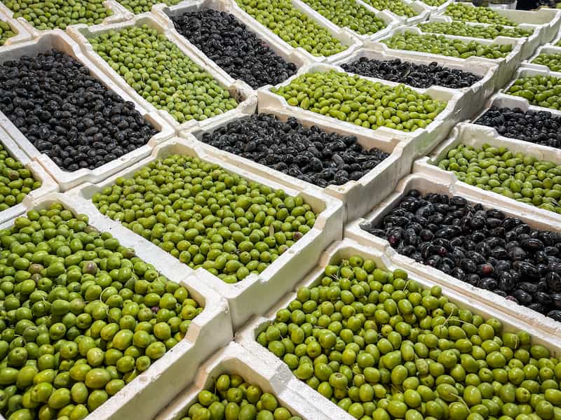 olives at the sugar market in amman